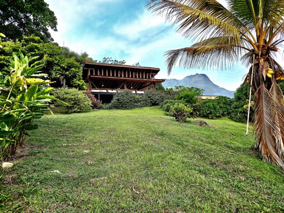 Fachada de la villa con palmera y montaña al fondo