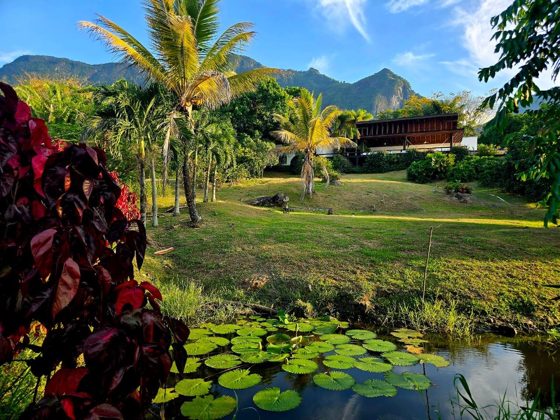 Jardin tropical et environnement naturel de la Villa Las Guacamayas