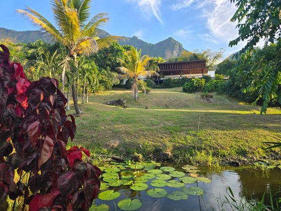 Jardin tropical et environnement naturel de la Villa Las Guacamayas