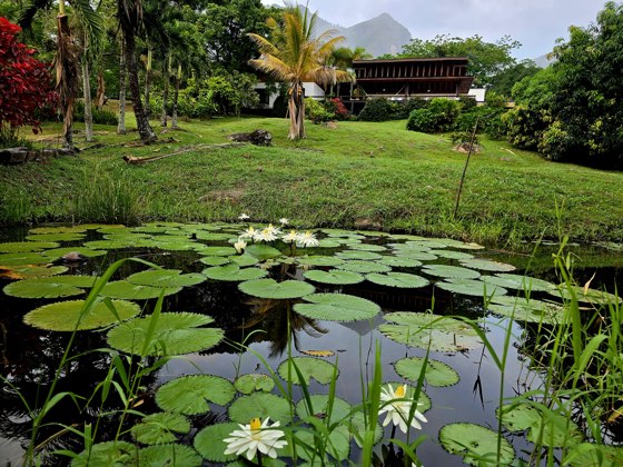 Lago privado con nenúfares en flor y la villa al fondo